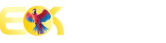 7kkbet - 94bet
